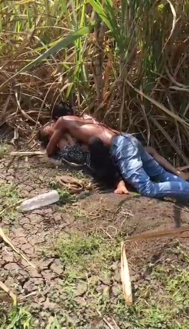 Desi girl and boyfriend bush link up